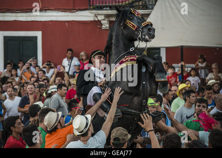 Es Castell, Menorca, Espagne. 24 juillet, 2016. 'Un' caixer (cheval-cavalier) se dresse sur son cheval entouré par une foule enthousiaste lors de la traditionnelle "Jaume ant' (Saint James) festival à Es Castell, la ville fiesta Crédit : Matthias Rickenbach/ZUMA/Alamy Fil Live News Banque D'Images