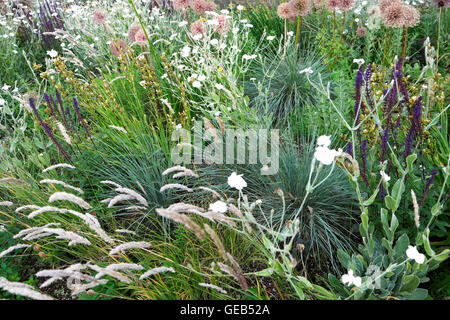 Garden designer Nigel Dunnett Jardins hêtre urbain en été au Barbican Estate dans la ville de London EC2Y UK KATHY DEWITT Banque D'Images