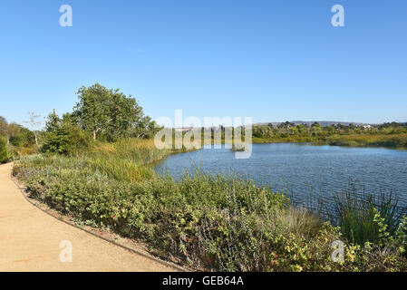 Trail autour de l'étang n° 3 au marais de San Joaquin, Irvine, CA. Banque D'Images