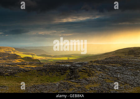 Soleil de fin d'après-midi par pousse des nuages d'orage, en retraite Crummack Dale dans le Yorkshire Dales National Park, England, UK Banque D'Images