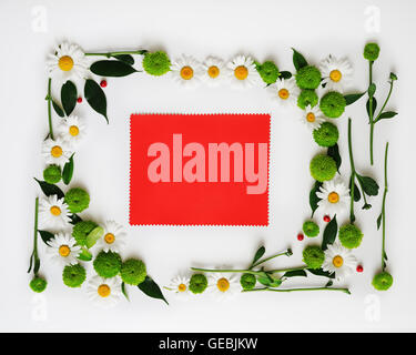 Papier rouge avec floral frame à partir de camomille et de fleurs de chrysanthème, ficus feuilles et Rowan mûrs sur fond blanc. Frais généraux Banque D'Images