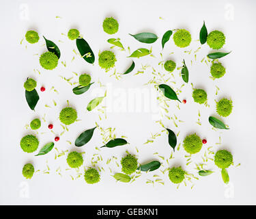 Avec des pétales de fleurs de chrysanthème, ficus feuilles et Rowan mûrs sur fond blanc. Vue de dessus. Mise à plat. Banque D'Images