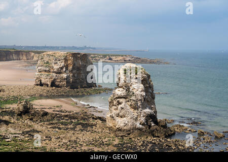 Marsden Rock et une autre pile de mer, Tyne and Wear, England, UK Banque D'Images