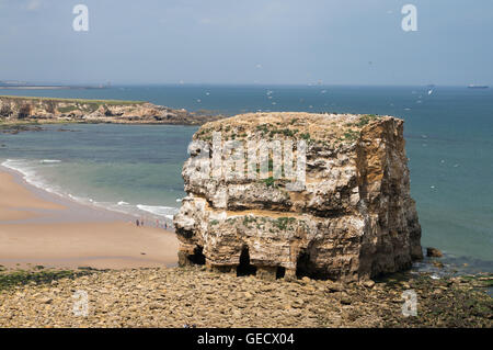 Marsden Rock, et de la plage, Tyne and Wear, England, UK Banque D'Images