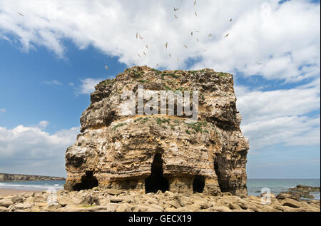 Marsden Rock, Tyne and Wear, England, UK Banque D'Images