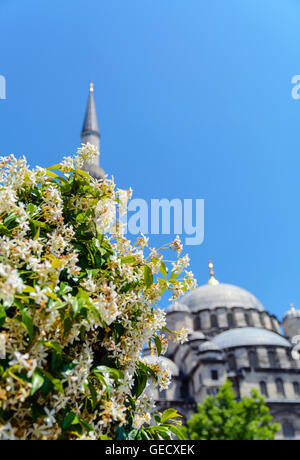 Minaret et dome avec fleurs feuilles sur fond de ciel Banque D'Images