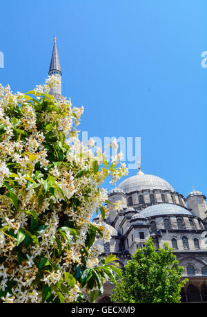 Minaret et dome avec fleurs feuilles sur fond de ciel Banque D'Images