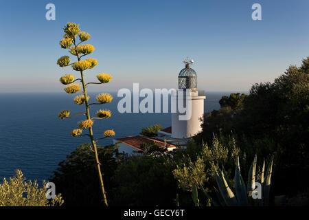 Phare de Sant Sebastià. À proximité de Calella de Palafrugell.Costa Brava. Province de Gérone. La Catalogne. Espagne Banque D'Images