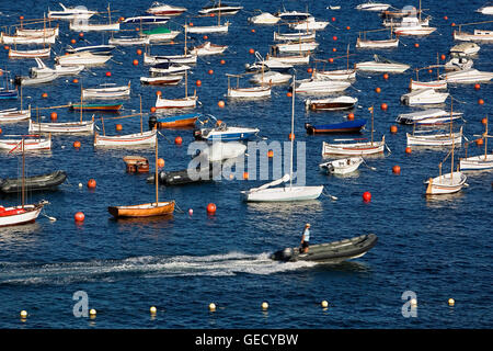 Calella de Palafrugell. Port de Calau. Costa Brava. Province de Gérone. La Catalogne. Espagne Banque D'Images