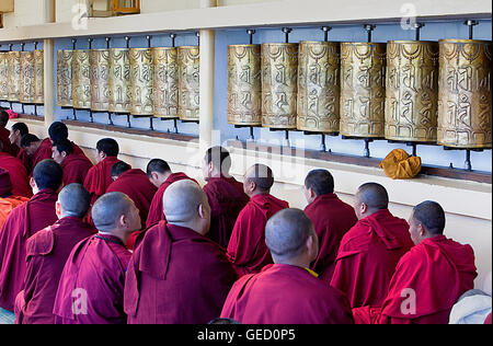 Moines au monastère de Namgyal,dans Tsuglagkhang complex. McLeod Ganj, Dharamsala, Himachal Pradesh, Inde, Asie Banque D'Images