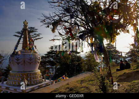 Stupa à Lhagyal ri,près de Tsuglagkhang complex,McLeod Ganj, Dharamsala, Himachal Pradesh, Inde, Asie Banque D'Images