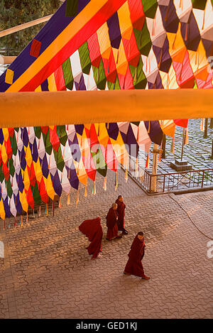 Moines, dans Monastère de Namgyal,dans Tsuglagkhang complex. McLeod Ganj, Dharamsala, Himachal Pradesh, Inde, Asie Banque D'Images