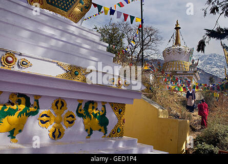 Stupas dans Lhagyal Ri, près de Tsuglagkhang complex,McLeod Ganj, Dharamsala, Himachal Pradesh, Inde, Asie Banque D'Images