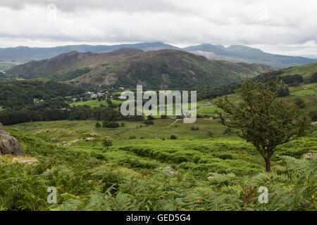 La vue de dessus de la Beddgelert Parc national Snowdonia dans le Nord du Pays de Galles, des pentes du Moel Hebog. Banque D'Images