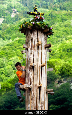 Les ERP. Le parti de Haro ( tronc de sapin d'environ 11 mètres de longueur).Quilhada.Man putting l'offre dans le haut de la Haro. Banque D'Images