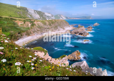 Mupe Bay, Dorset, Angleterre, Royaume-Uni Banque D'Images