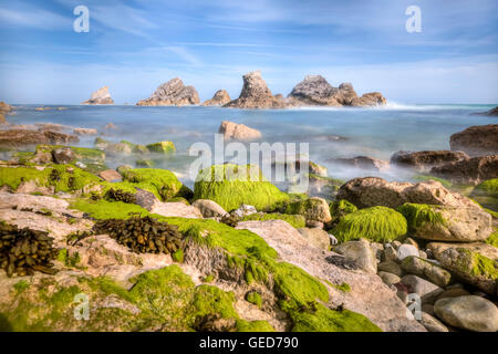 Mupe Bay, Dorset, Angleterre, Royaume-Uni Banque D'Images