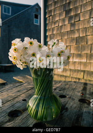 Narcisse blanc dans un vase en verre sur une table en bois contre un bâtiment avec des bardeaux de bois dans le Massachusetts Menemsha Banque D'Images