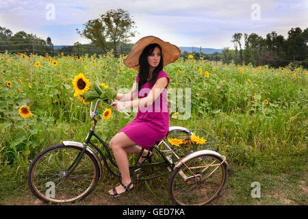 Belle, jeune, brunette woman holding sunflower et assis sur votre vélo en champ de tournesol. Banque D'Images