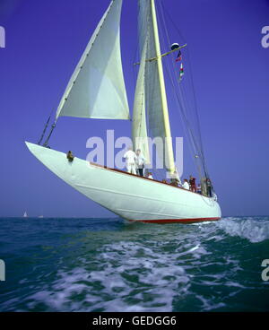 Nouvelles photos d'AJAX. 1985. SOLENT, en Angleterre. - L'ANCIEN COMBATTANT 1930 Classe J VELSHEDA RACER restauré par TERRY BRABENT, TRAVAILLE UNE JOURNÉE EN MER CHARTE. PHOTO:JONATHAN EASTLAND/AJAX REF:HDD /YA/853715 Banque D'Images