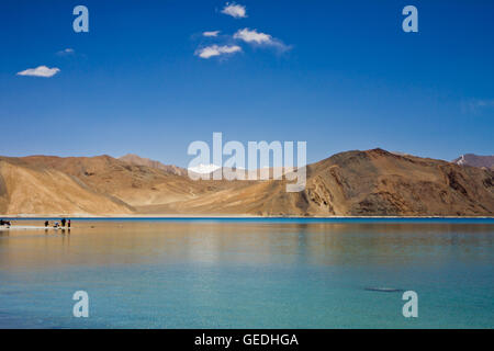 Lac Pangong Tso-Cachemire Banque D'Images