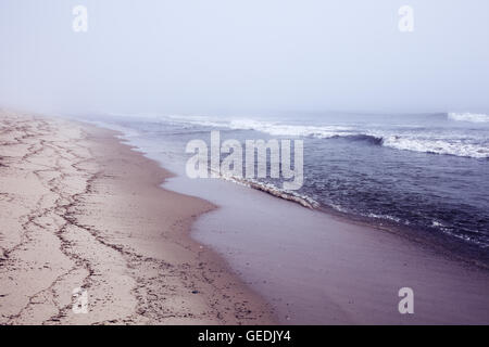 Belle plage misty à Newcomb's Hollow, Wellfleet, MASSACHUSETTS Cape Cod Banque D'Images