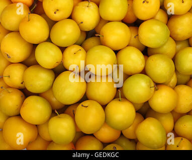 Prunes jaunes moelleux frais mûrs (cerises prunes) motif de près, vue de dessus Banque D'Images