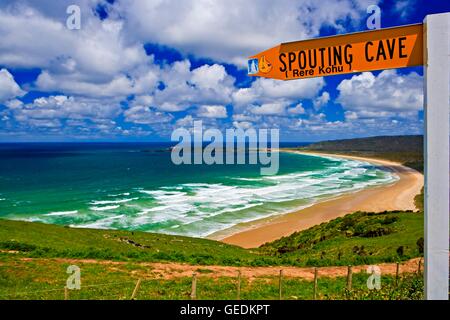 Géographie / voyages, Nouvelle-Zélande, île du Sud, la baie et la péninsule de Tautuku Tautuku et beach vu de Florence Hill Lookout le long de la piste du patrimoine côtier Catlins, le sud de l'itinéraire touristique, Southland, Catlins, île du Sud, No-Exclusive-Utilisation Banque D'Images