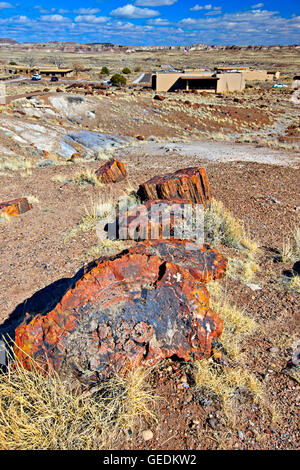 Géographie / voyages, USA, Arizona, Woodruff, Petrified Forest National Park, Arizona, No-Exclusive-Utilisation Banque D'Images