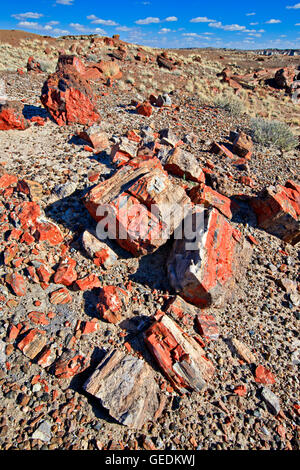 Géographie / voyages, USA, Arizona, Woodruff, Petrified Forest National Park, Arizona, No-Exclusive-Utilisation Banque D'Images