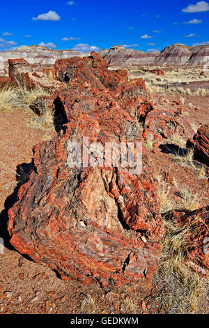 Géographie / voyages, USA, Arizona, Woodruff, Petrified Forest National Park, Arizona, No-Exclusive-Utilisation Banque D'Images