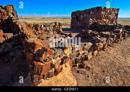 Géographie / voyages, USA, Arizona, Woodruff, Petrified Forest National Park, Arizona, No-Exclusive-Utilisation Banque D'Images