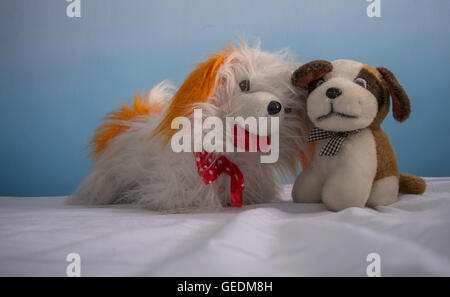 Deux chiens bourrés ensemble Banque D'Images