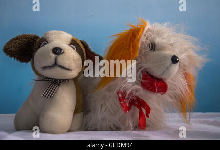 Deux chiens bourrés ensemble Banque D'Images