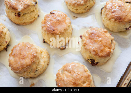 Scones aux canneberges et à l'Orange, High Angle View Banque D'Images