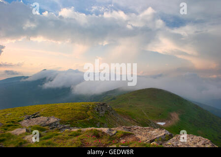 Rhododendron fleurs en premier plan, brouillard spectaculaire après l'orage. Banque D'Images
