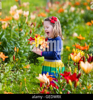 Cute little girl picking lily flowers blooming jardin d'été. Enfant tenant bouquet de lys en fleur magnifique domaine. Banque D'Images