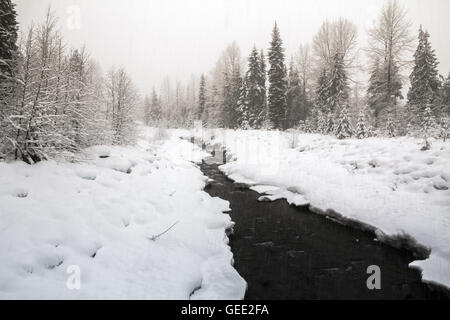 Fitzsimmons Creek, Whistler, C.-B., Canaaa, sur une journée d'hiver avec la neige qui tombe Banque D'Images