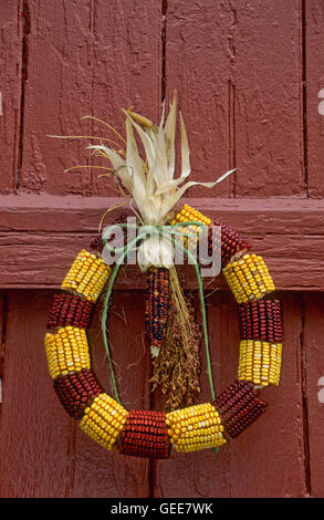 Gros plan automne multicolore décoration de couronne de maïs indien extérieur sur une porte avant en bois rouge, abri de ferme New Jersey, États-Unis, États-Unis, maïs indien vertical Banque D'Images