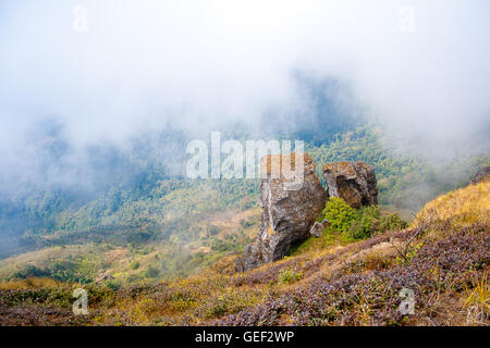 Kew Mae Pan sentier naturel en vue du Parc Naturel de Doi Inthanon, Thaïlande Banque D'Images