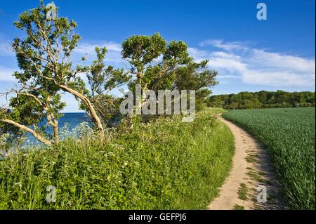 Staberhuk, Fehmarn Banque D'Images