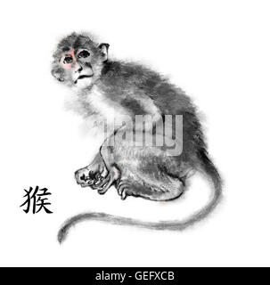 Peinture encre oriental singe avec 'Monkey' hiéroglyphe chinois. Isolé sur fond blanc. Symbole de la nouvelle année de singe. Banque D'Images