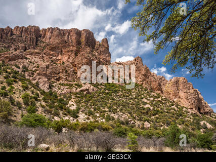 Falaises de Rhyolite de Camping Appartement ensoleillé dans Cave Creek Canyon, zone habitat dans les montagnes Chiricahua, Arizona, USA Banque D'Images