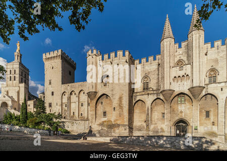 Palais des Papes, Avignon, bouche du Rhone, France Banque D'Images