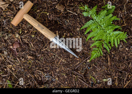 Dibber jardin portant sur certains compost de jardin. Banque D'Images