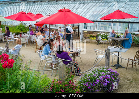 Café dans un Vinehouse à Helmsley Walled Garden North Yorkshire Banque D'Images