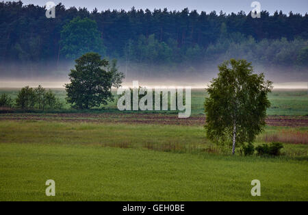 Paysage du village avec des stries de brume en Pologne Banque D'Images