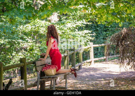 Portrait de l'environnement de la vue arrière de la belle femme en robe rouge, des sandales à talons hauts et à la longue chevelure ondulée à genoux sur un banc de parc Banque D'Images