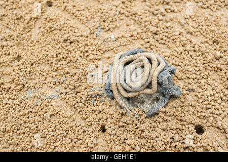 Les trous des crabes sur la plage avec sable heap Banque D'Images