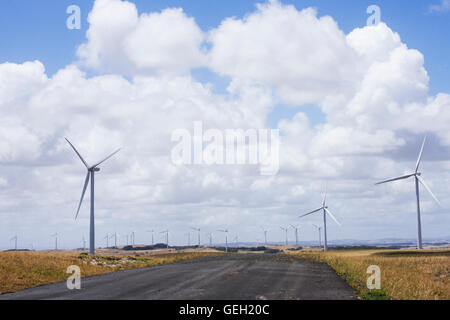 Éoliennes sur une ferme dans l'Est de Victoria, Australie Banque D'Images